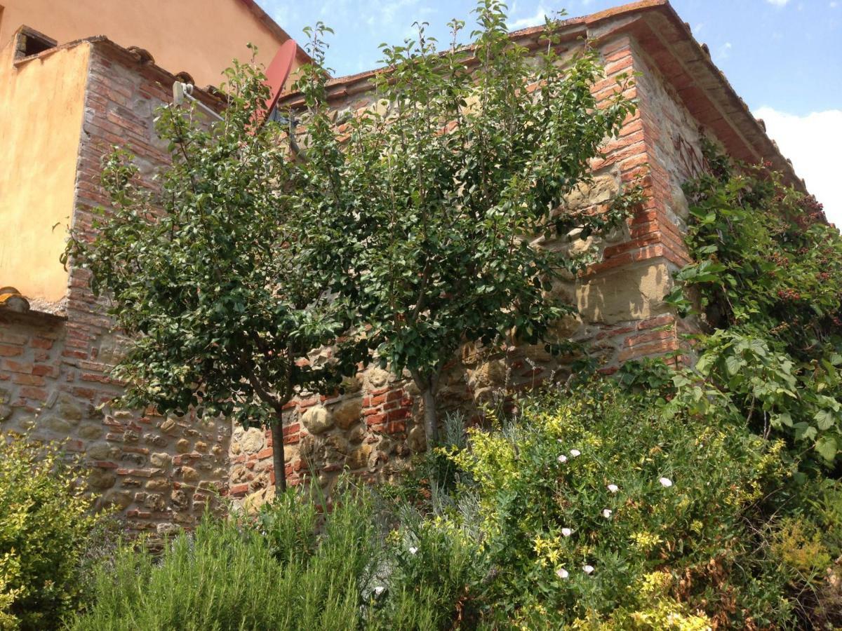 Agriturismo Pieve De Pitti Terricciola المظهر الخارجي الصورة