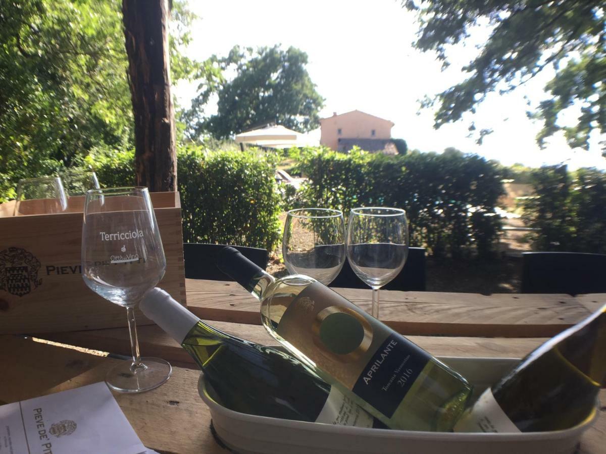 Agriturismo Pieve De Pitti Terricciola المظهر الخارجي الصورة