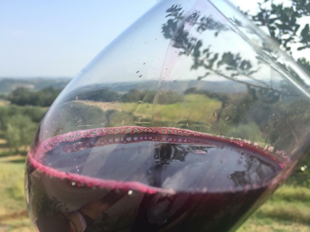 Agriturismo Pieve De Pitti Terricciola المظهر الخارجي الصورة