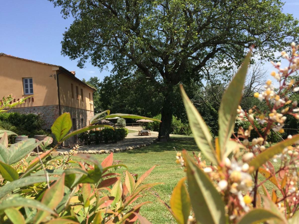 Agriturismo Pieve De Pitti Terricciola المظهر الخارجي الصورة
