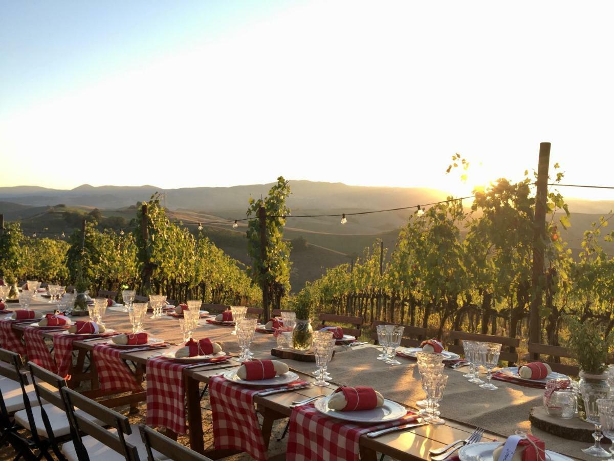 Agriturismo Pieve De Pitti Terricciola المظهر الخارجي الصورة