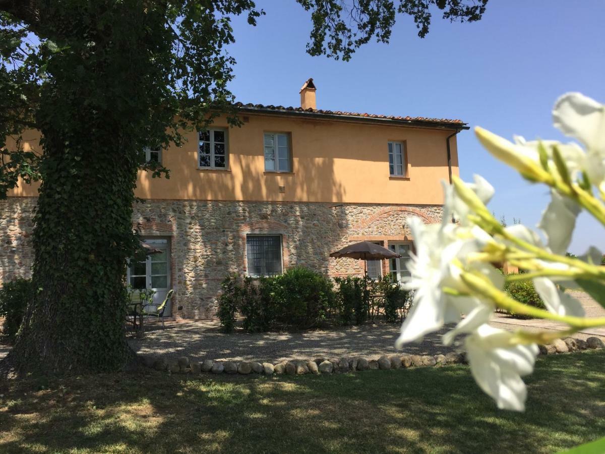 Agriturismo Pieve De Pitti Terricciola المظهر الخارجي الصورة