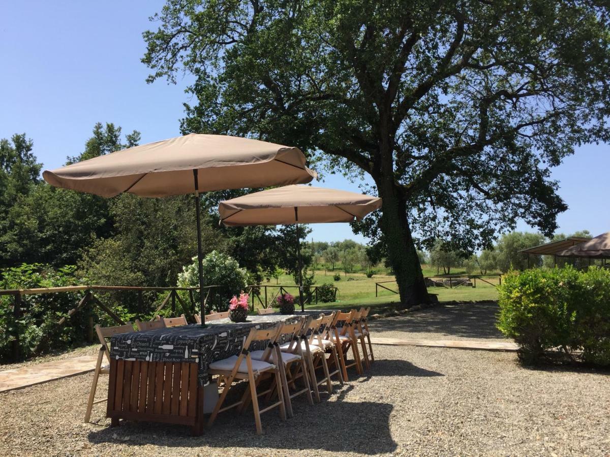 Agriturismo Pieve De Pitti Terricciola المظهر الخارجي الصورة