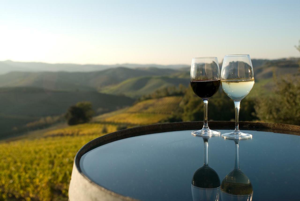 Agriturismo Pieve De Pitti Terricciola المظهر الخارجي الصورة