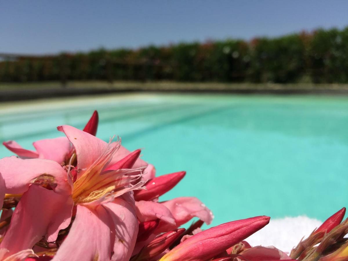 Agriturismo Pieve De Pitti Terricciola المظهر الخارجي الصورة