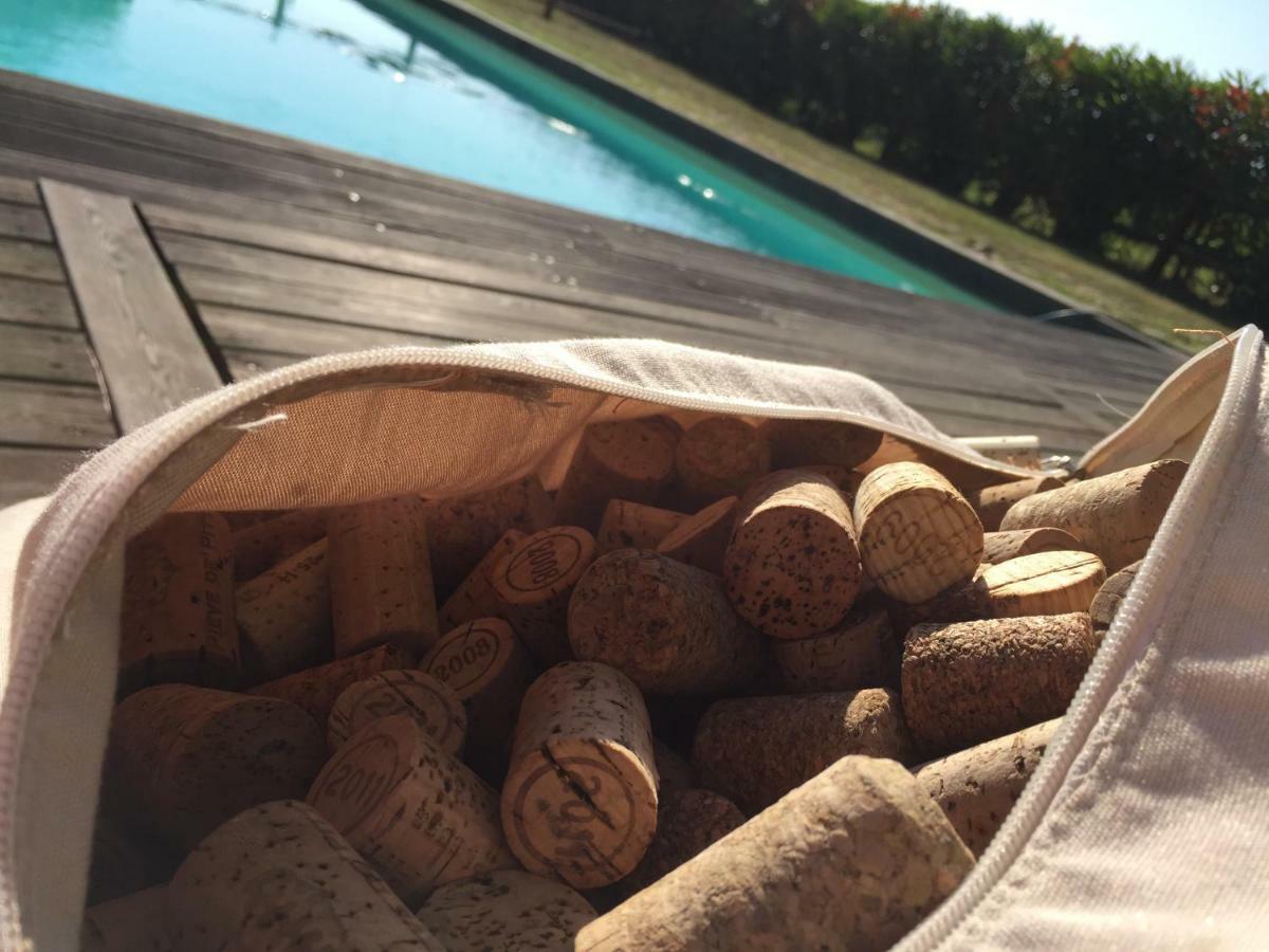 Agriturismo Pieve De Pitti Terricciola المظهر الخارجي الصورة