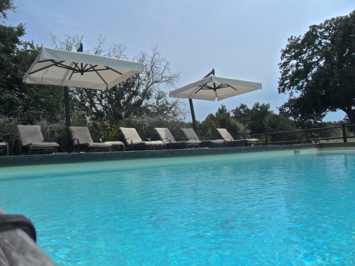Agriturismo Pieve De Pitti Terricciola المظهر الخارجي الصورة
