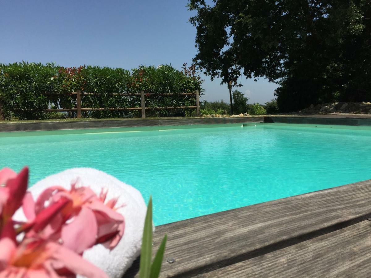 Agriturismo Pieve De Pitti Terricciola المظهر الخارجي الصورة